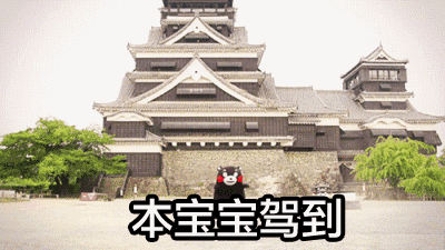 熊本熊，想不到你是这样的熊