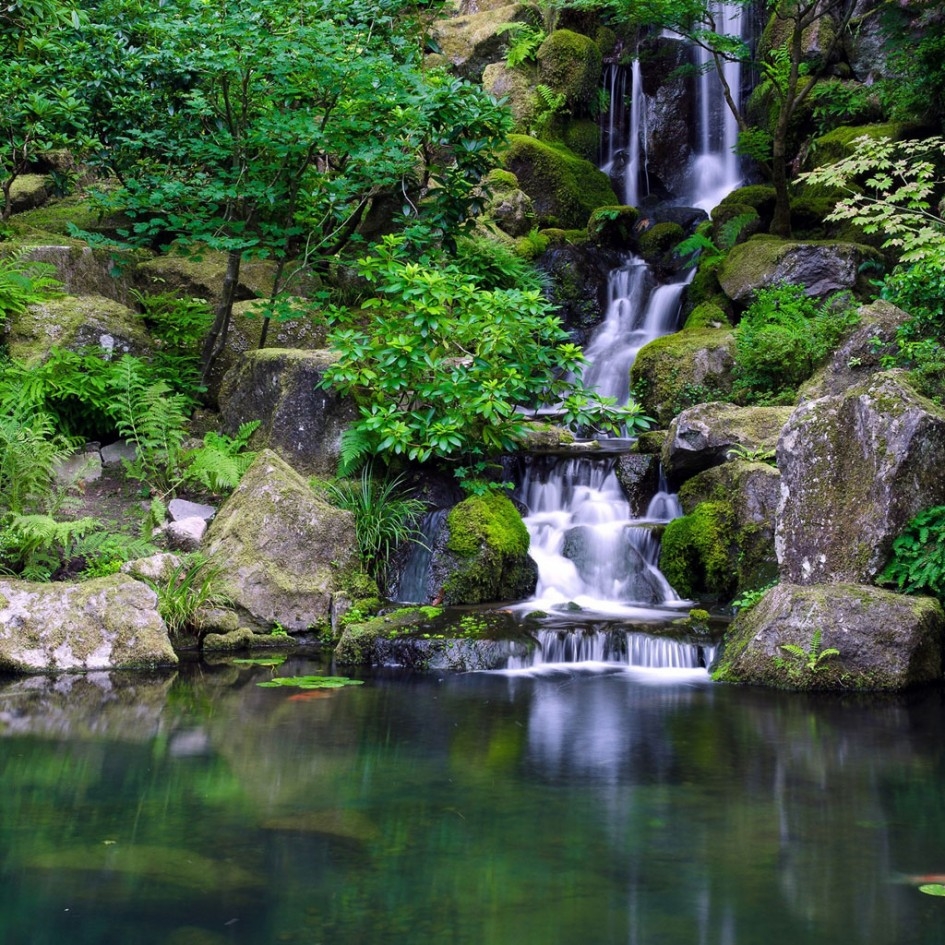 山间清新溪水溪流图片