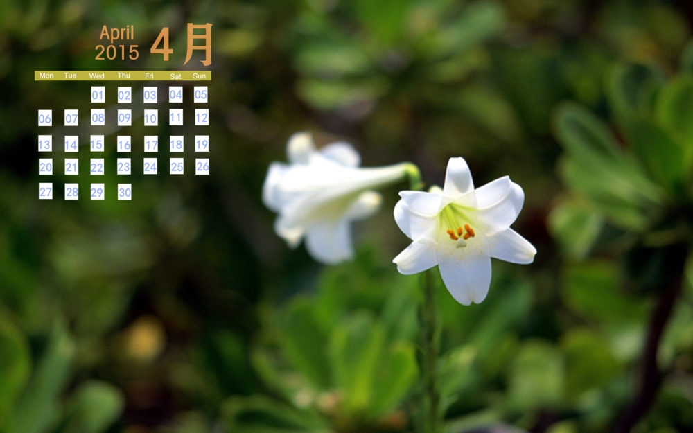 2015年4月唯美花卉日历