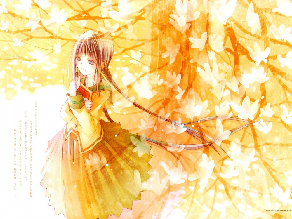 吃书的文学少女