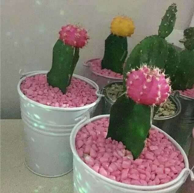 粉色系少女心。