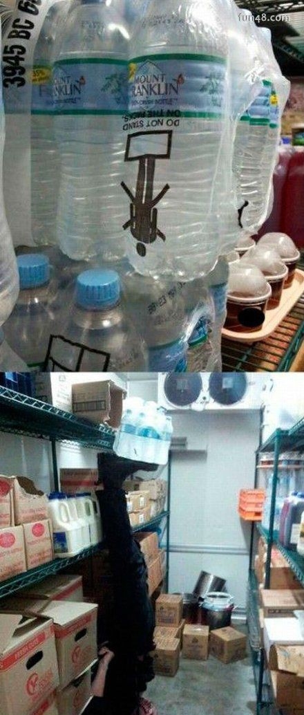 熊孩子们长大了：我们就是要和世界对着干