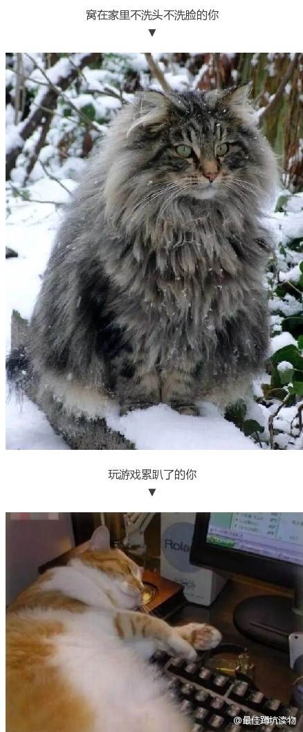 据说这是春节假期你在家的样子 ​​​​