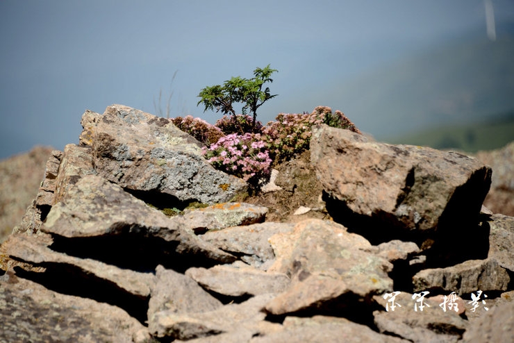 随拍高山草原上的长城