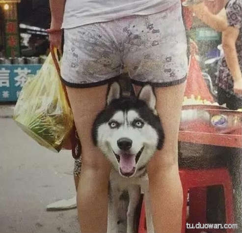 彷佛在嘲笑我。。
