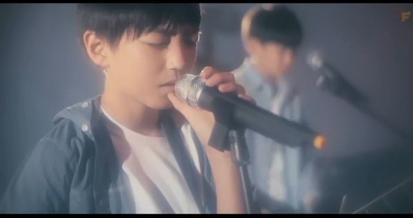 【TF家族】洋葱。
