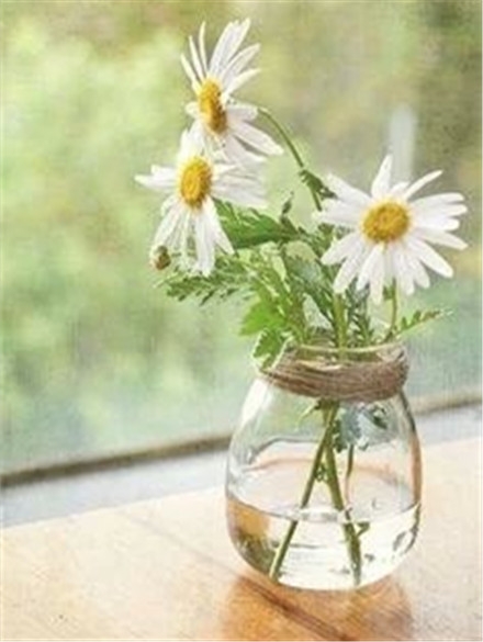 小清新图片：问花花不语