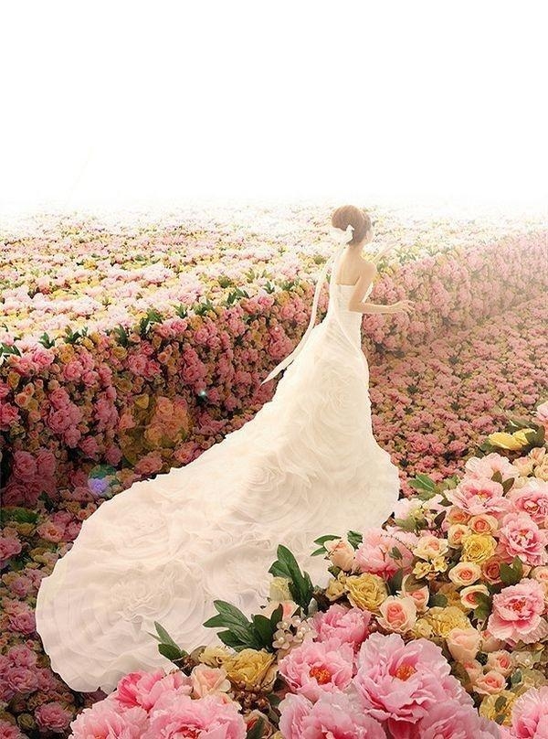 婚纱梦i