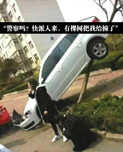 女司机真可以上天，不得不服