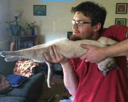 捕猎爱好者的日常