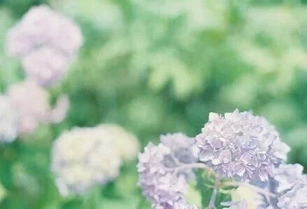 相思无过，错在堕落