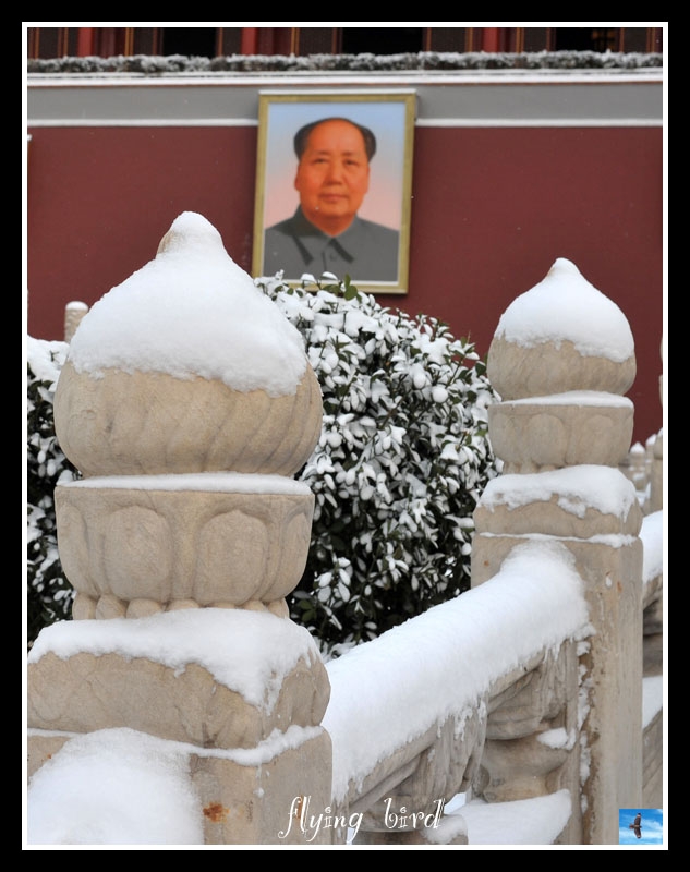 白雪又飘故宫里