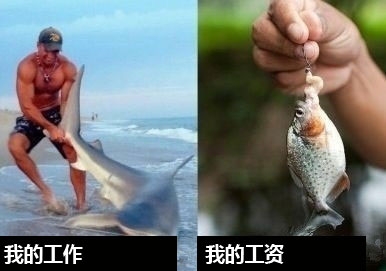 一组赤裸裸的现实图