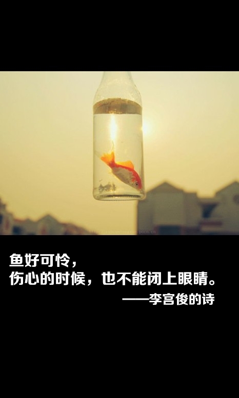 因为喜欢，所以开始 文字控图片 李宫俊的诗词