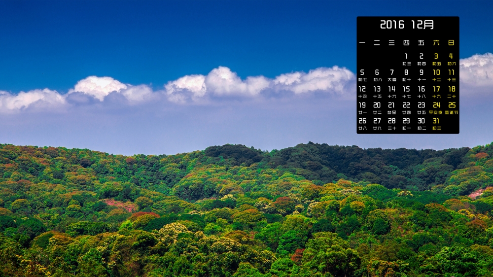 2016年12月日历秋天树林天空风景桌面壁纸