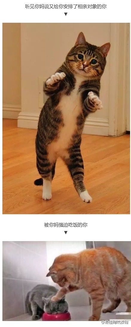 据说这是春节假期你在家的样子 ​​​​