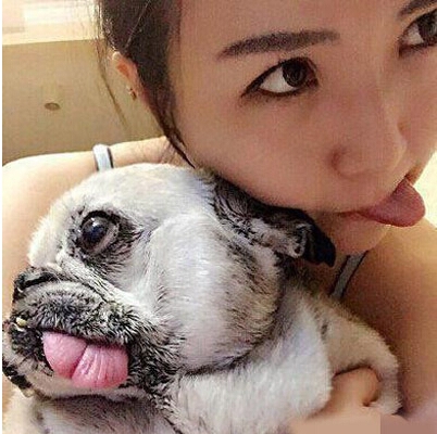 逗比美女狗主人