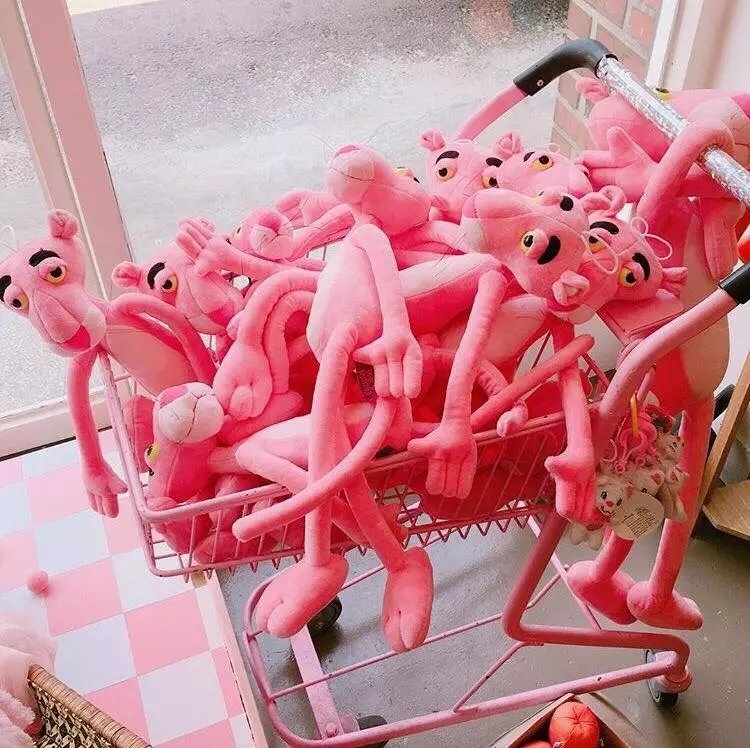 这一回，你要不要跟我一起走