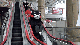 熊本熊，想不到你是这样的熊