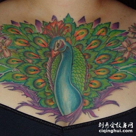 胸部孔雀开屏纹身图案