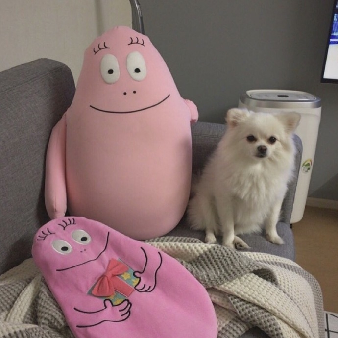 女孩应该有的可爱布娃娃