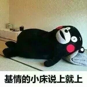 ovo一系列