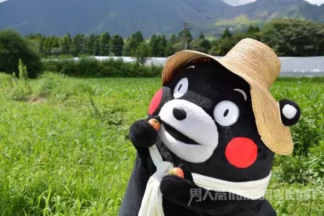 熊本熊，想不到你是这样的熊