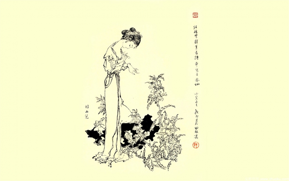 名著红楼梦十二钗古典美女手绘人物素描桌面壁纸高清