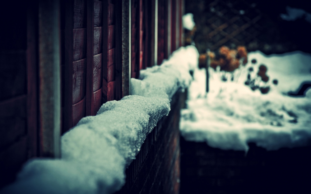 搜狗风光雪花飘飘