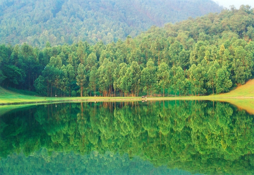 森林、阳光、湖水，亲近大自然的唯美风景图片素材