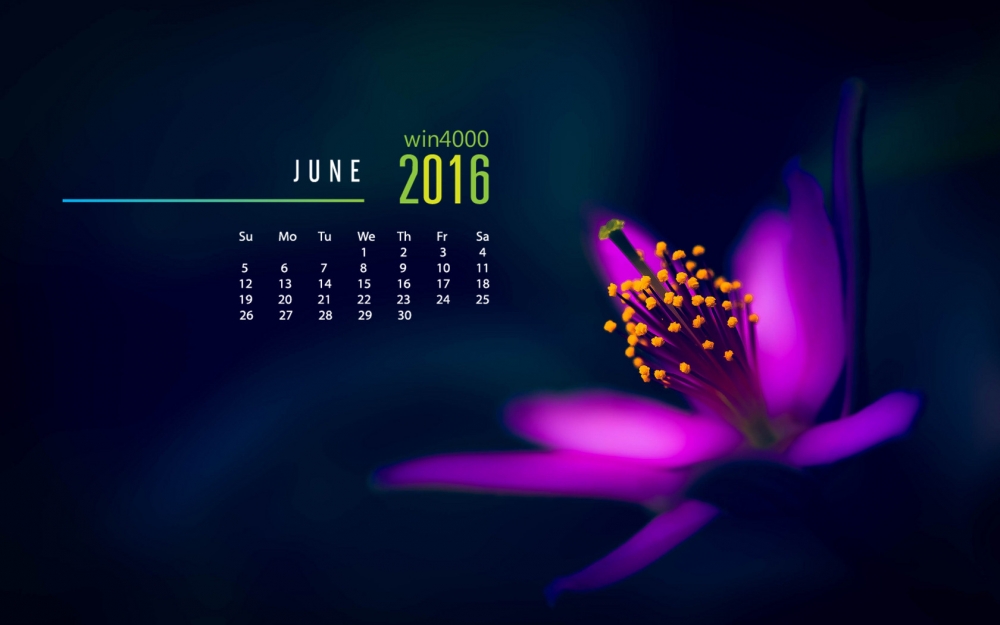 2016年6月日历唯美花卉高清桌面壁纸大全