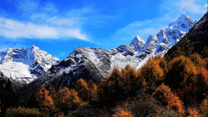 四川毕棚沟冬季风景桌面壁纸