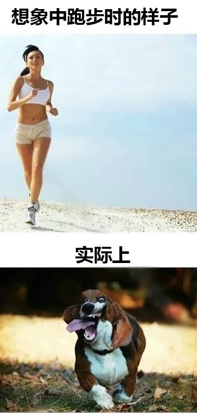 一组赤裸裸的现实图