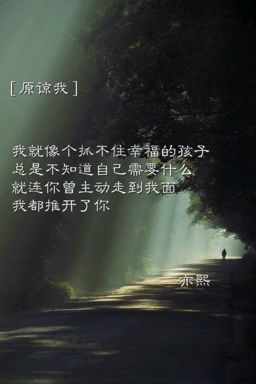 屋顶 阳光 白衬衫 我的爱人