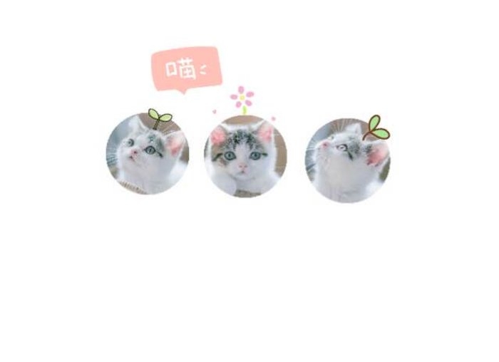 SLMO.心甘情愿