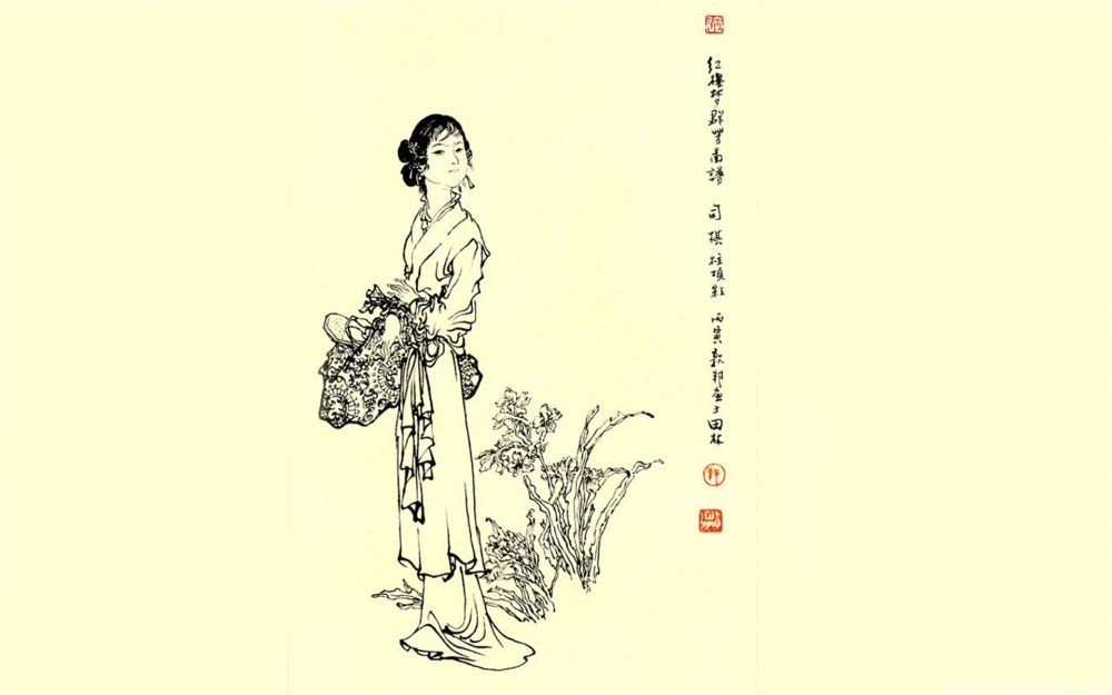 名著红楼梦十二钗古典美女手绘人物素描桌面壁纸高清