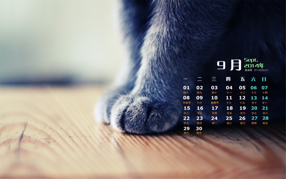 2014年9月日历桌面壁纸可爱的超萌宠物小猫图片