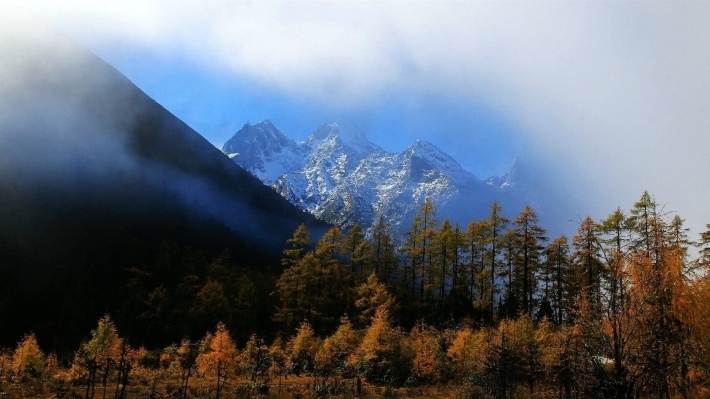 四川毕棚沟冬季风景桌面壁纸