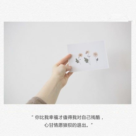 吹过清风，喝过烈酒，爱过烂人
