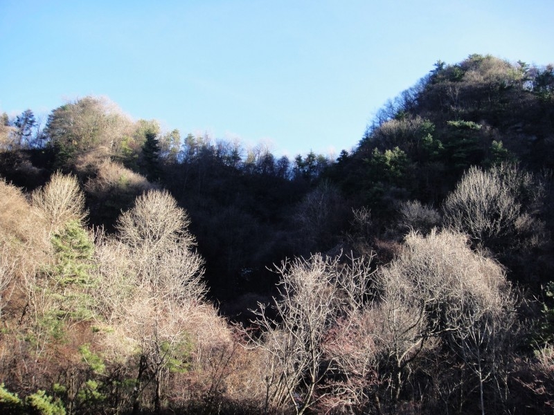 秦岭的高峰耸立的风景图片