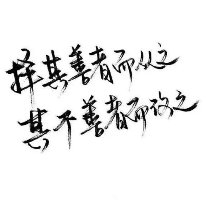 鱼哲是黎珀宸的身下受