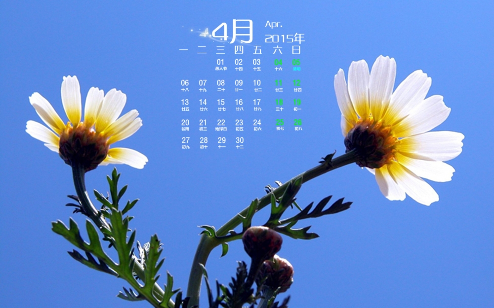 2015年4月唯美花卉日历