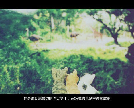 每一个人都无可替代 因为我们是世上的唯一存在 文字美