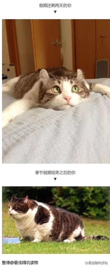 据说这是春节假期你在家的样子 ​​​​