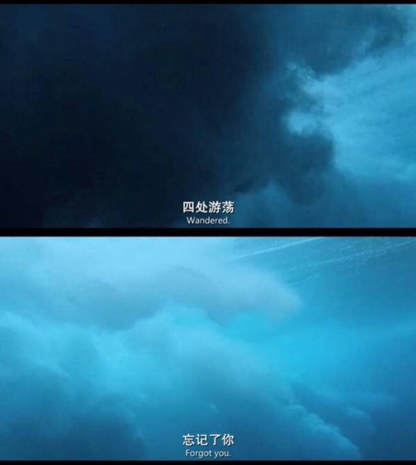 爱情？