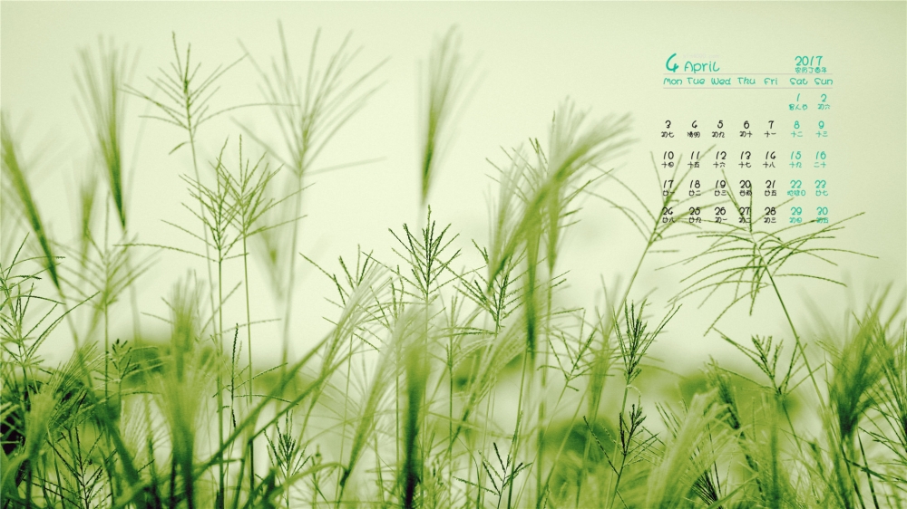 2017年4月唯美的野草高清日历壁纸