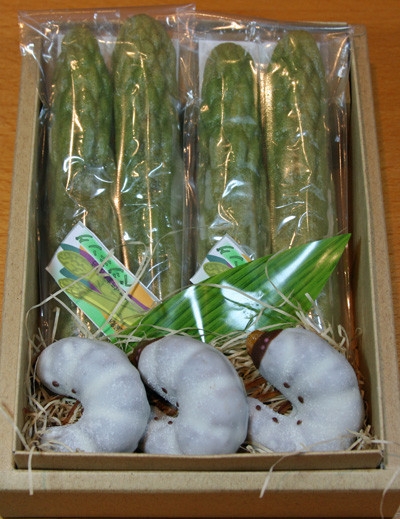 吃货慎点：日本重口味虫子巧克力