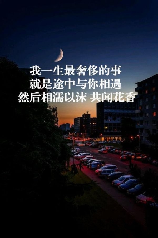 我一生最奢侈的事，就是途中与你相遇 文字图片