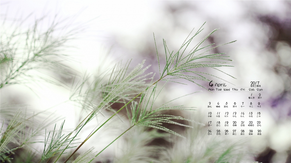 2017年4月唯美的野草高清日历壁纸