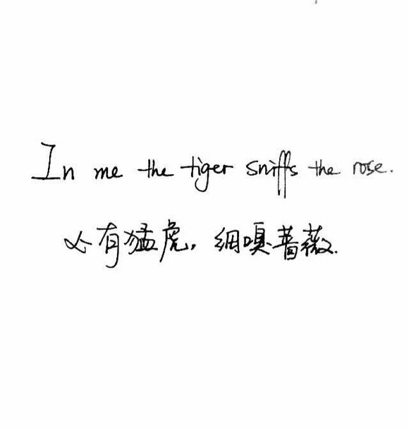 对你何止一句钟情.